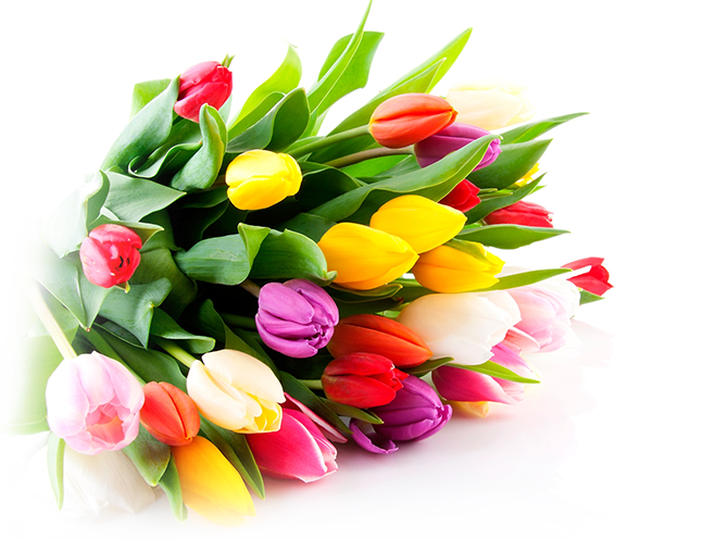 flover1